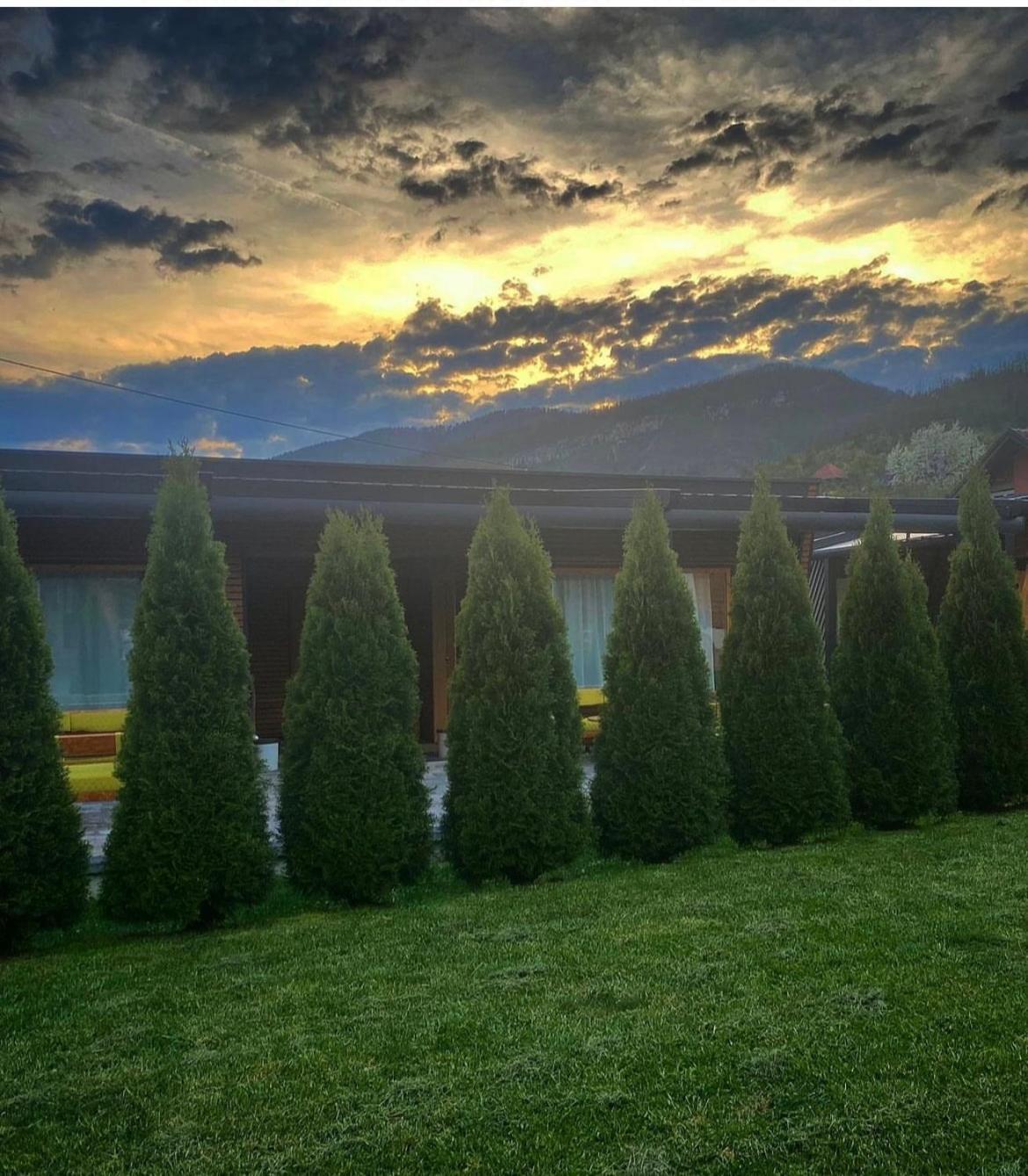Alexandar Studio Apartman Mokra Gora Exteriér fotografie
